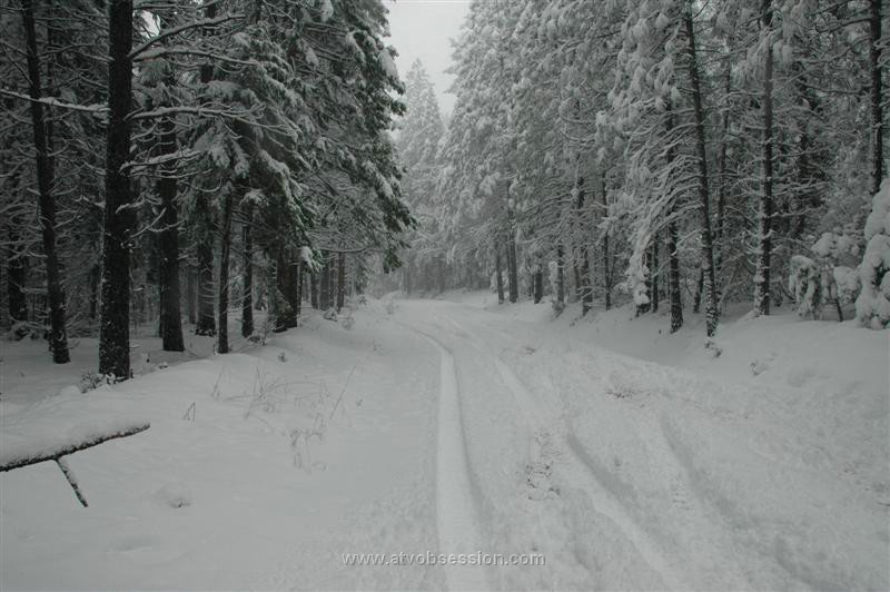 30. Backbone Road is 2 feet deep in snow..jpg