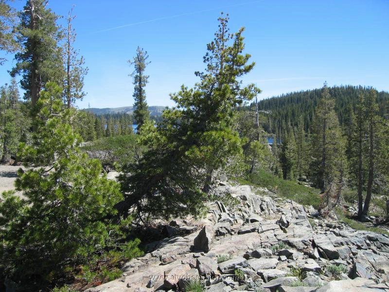 17. Meadow Lake..jpg