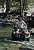 043. Larry shot from the front..jpg
