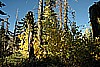 135. Fall is beautiful..jpg