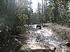 031. Headed through the trees after the Granite Bowl..jpg