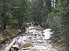 032. Lots of mud and water this time of year..jpg