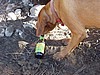 075. Mmmmm...Beer..jpg