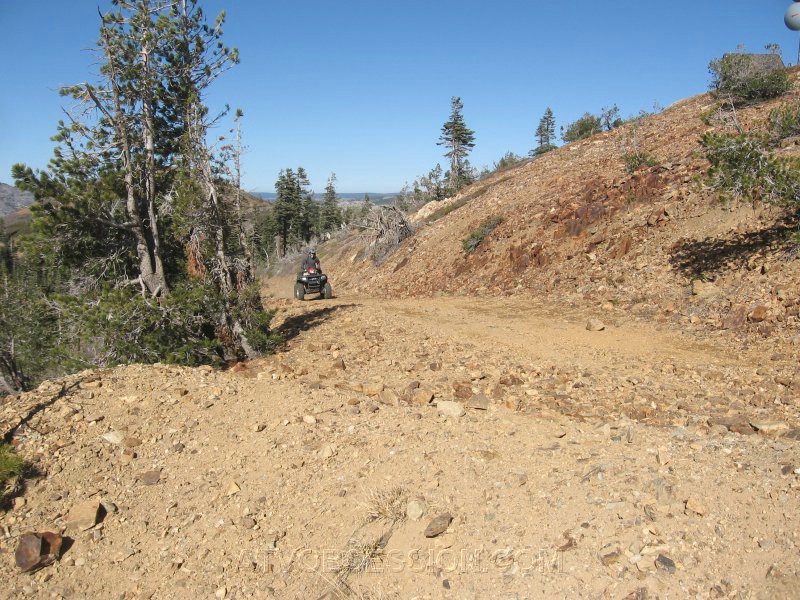 48. Dusty scooting to the top of Signal Peak..jpg
