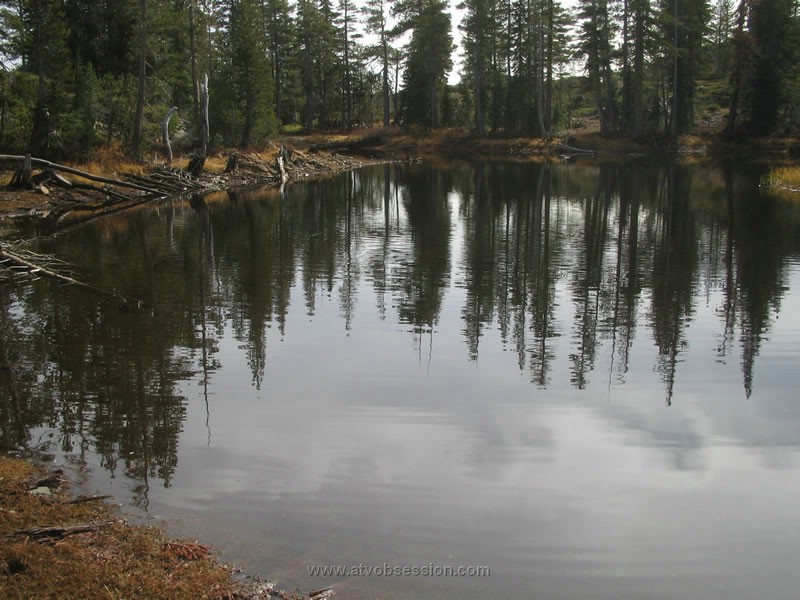 039. Nice pond..jpg