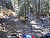 131. Coming down toward Cadillac Hill..jpg