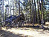 144. So we head toward Richardson Lake..jpg