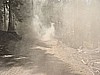 063. DUSTY!.jpg