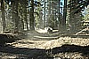 103. Unknown rider..jpg