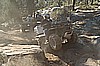 234. Thomas is now a vet rock crawler..jpg