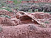 244. It's a creepy skull rock..jpg