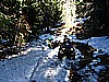 060. Terry and Jack tear it up Signal Peak..jpg