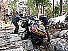 070. Then does another wheelie..jpg