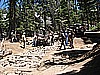 35. We hit McKinstry, and find the next FOTR crew at the bottom of Walker..jpg