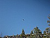 136. I want to fly, like an Eagle..till I'm free..jpg
