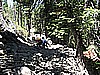160. Lori gives her quad a shove..jpg