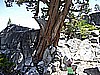 197. Lori at the Cypress..jpg