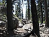 217. Our only traffic..jpg