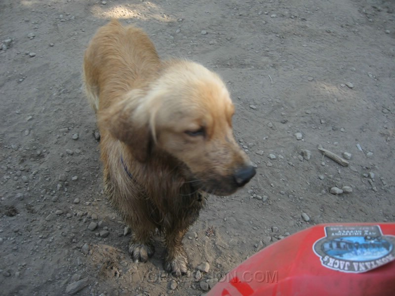 30. Gerico is dirty, wet and tired...but man, what a great day..jpg