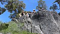 tree080.jpg