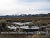 137. A bunch of cows at their water hole..jpg