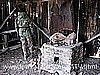 150. Lori checks out the inside with a nice brick fireplace..jpg