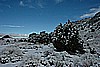 236. Near the mine from yesterday..jpg