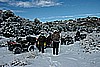 238. The second stop...at the mine from day 1..jpg