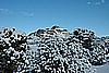 241. Matterhorn...ok, maybe not..jpg