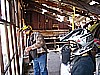 070. Kendo inspects the glass..jpg