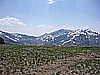 47.Top of Deer Mountian towards Idaho.jpg