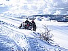 066. And nearly slides sideways down the hill..jpg