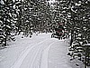 092. So we headed back..jpg
