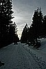 79. With No Obstacles In Our Path.....jpg