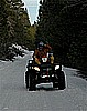 80. Dusty Assumes His Famous Riding Position.....Go Annie!.jpg